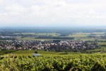 2024_Saengerreise_16_Eguisheim_3220.JPG